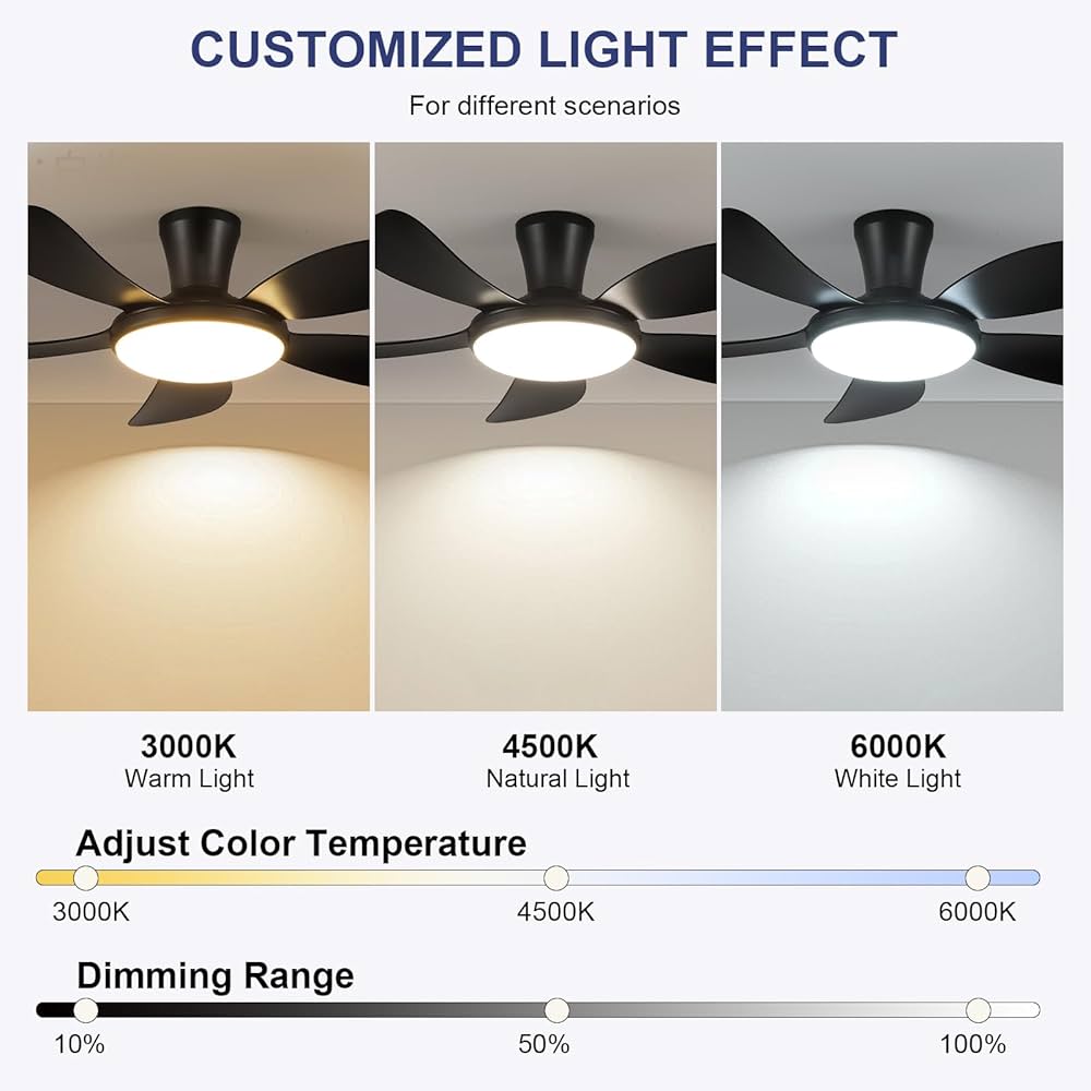 Phoo2♡ 61J+fm1QUoL._UF1000,1000_QL80_.jpg